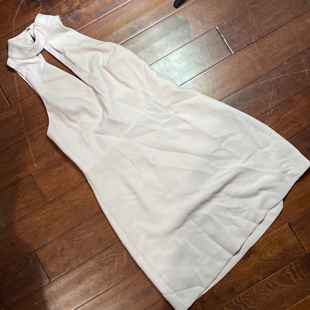 Pink express fitted dress